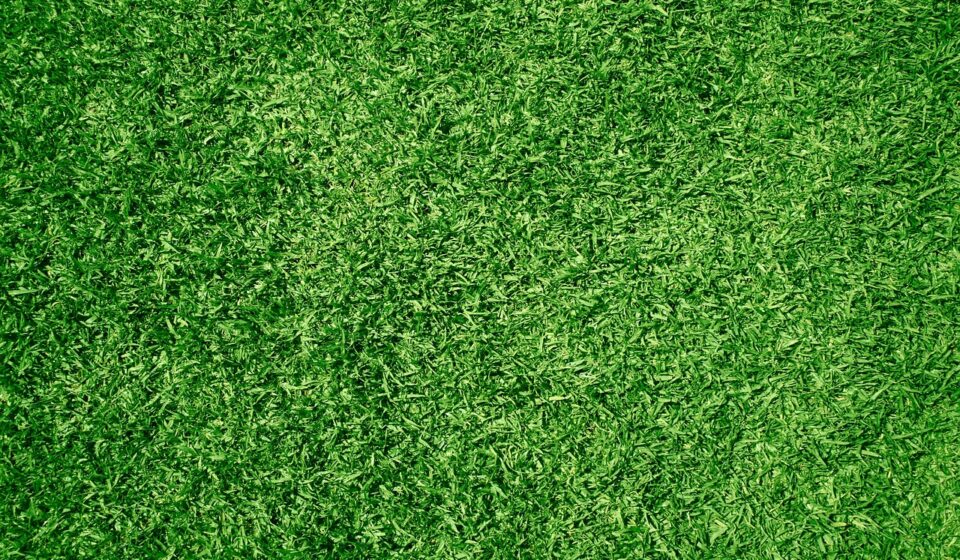 lawn, grass, nature, landscaping, wallpaper hd, artificial, yard, full hd wallpaper, cool backgrounds, mowed, green, backyard, front yard, 4k wallpaper, turf, desktop backgrounds, 4k wallpaper 1920x1080, synthetic, field, lush, verdant, hd wallpaper, texture, windows wallpaper, background, fertilised, free wallpaper, wallpaper 4k, growth, real estate, property, free background, beautiful wallpaper, land, laptop wallpaper, mac wallpaper, maintenance