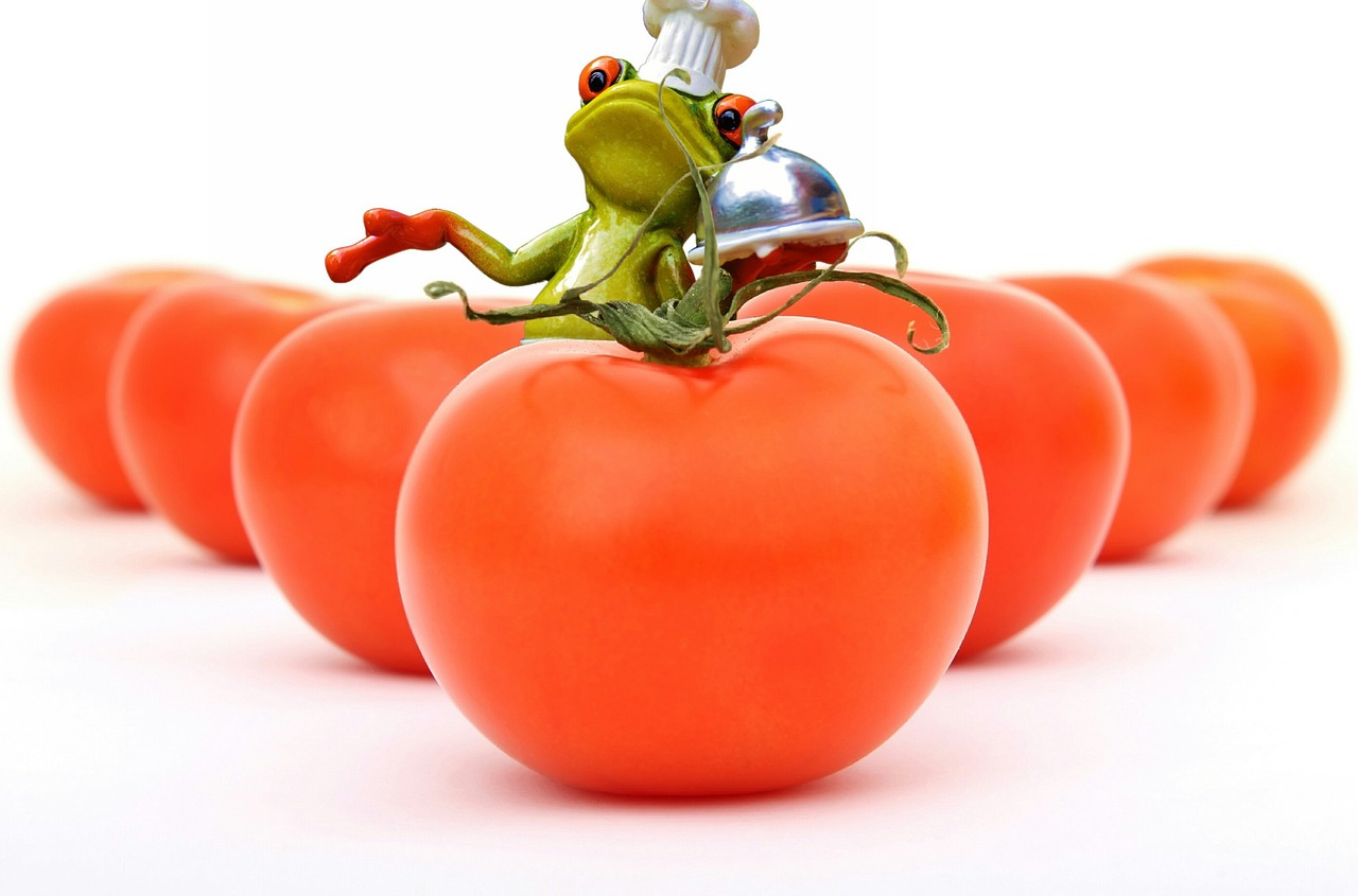 tomatoes, cook, frog, healthy, food, preparation, fun, figure, vegetables
