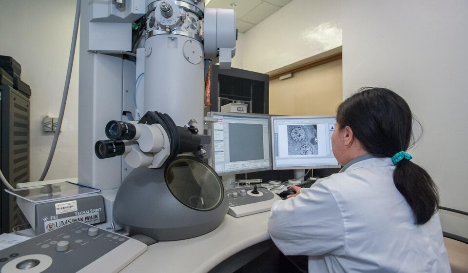 transmission electron microscope, universiti malaysia sabah, biotechnology research institute, gray research