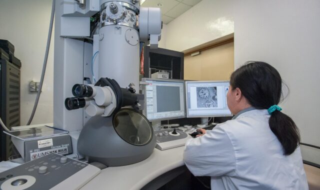 transmission electron microscope, universiti malaysia sabah, biotechnology research institute, gray research