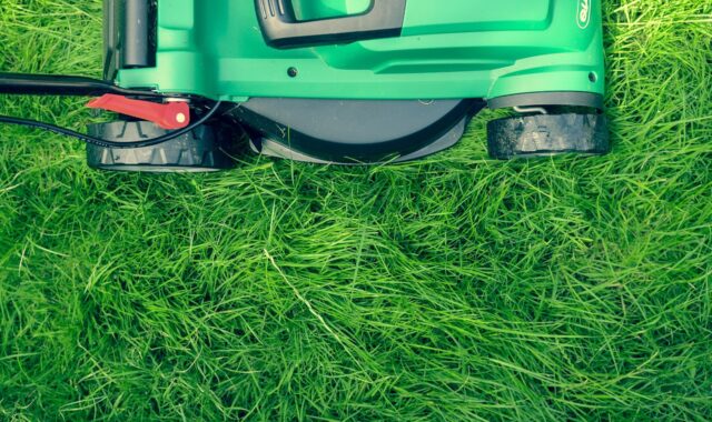 grass, nature, green, lawn, lawn mower