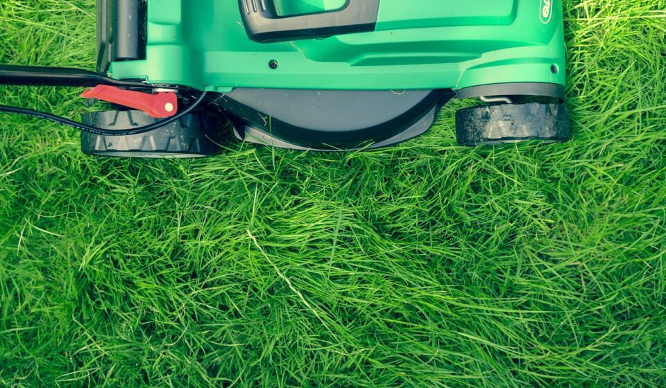 grass, nature, green, lawn, lawn mower