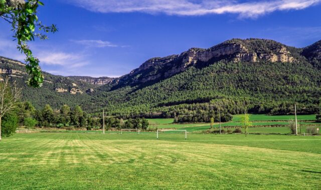 football, football field, sport, herb, grass, maintenance, green, keep, texture, nature, moutains, grow, gardening, the goals, basketball court, basketball court, basketball court, basketball court, basketball court, basketball court