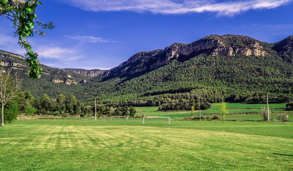 football, football field, sport, herb, grass, maintenance, green, keep, texture, nature, moutains, grow, gardening, the goals, basketball court, basketball court, basketball court, basketball court, basketball court, basketball court