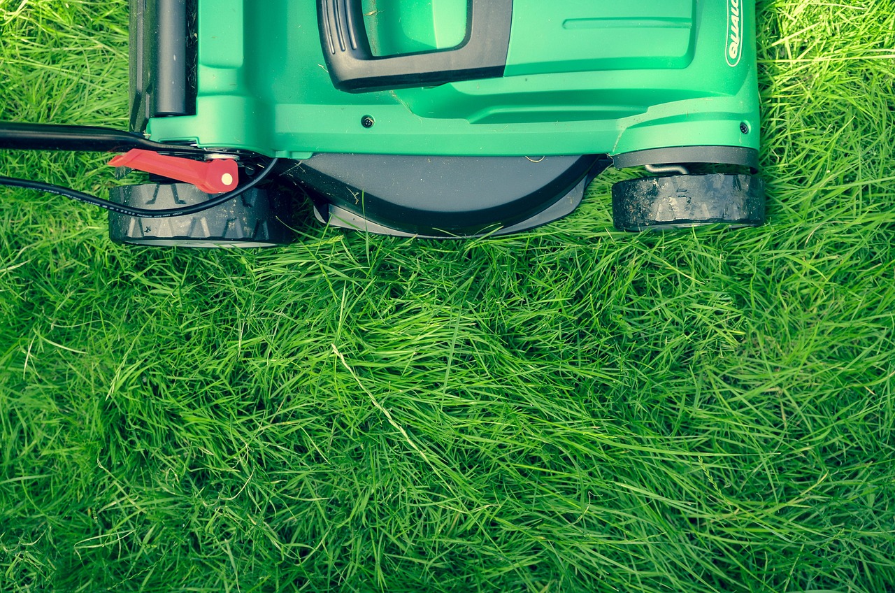 grass, nature, green, lawn, lawn mower