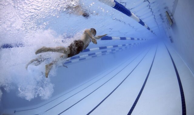 swimmers, swimming, pool, olympic pool, race, competition, water, lanes, nature, sports, water sports, athletes, athletic, olympics, underwater