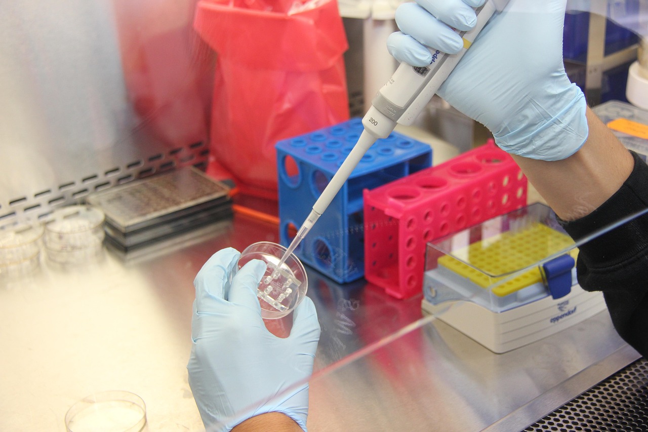 science, lab, laboratory, research, science lab, scientific, medicine, technology, scientist, laboratory equipment, analyzing, lab, lab, lab, lab, laboratory, laboratory, laboratory, laboratory, laboratory, research, science lab, scientist, scientist, scientist