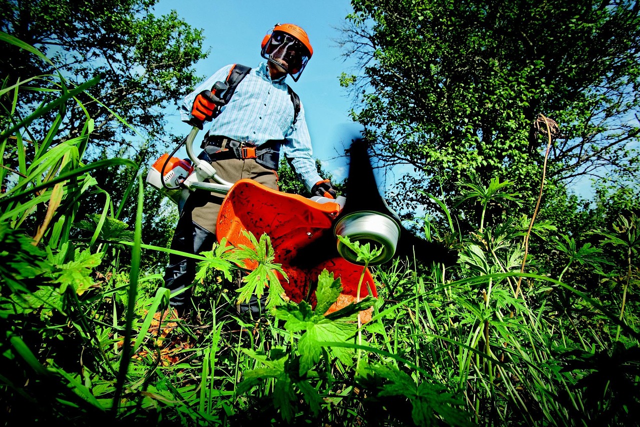 garden, grass cutter, gardening, grass, man, outdoors, person, nature, tools, gardener, green grass