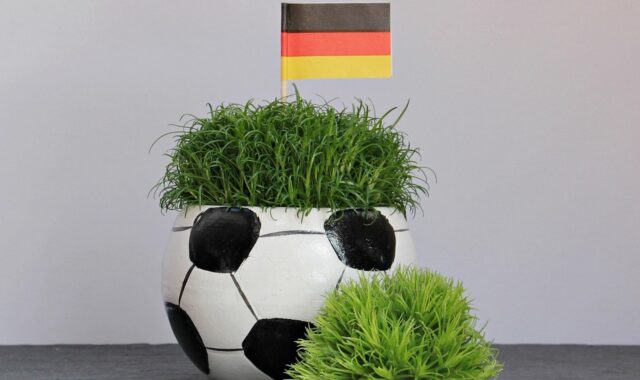 em 2016, soccer, tournament, em, european championship, european football championship, em2016, france, black red gold, germany, flag, banner, national colours, funny, humorous, sports, soccer, em, em, em, em, em