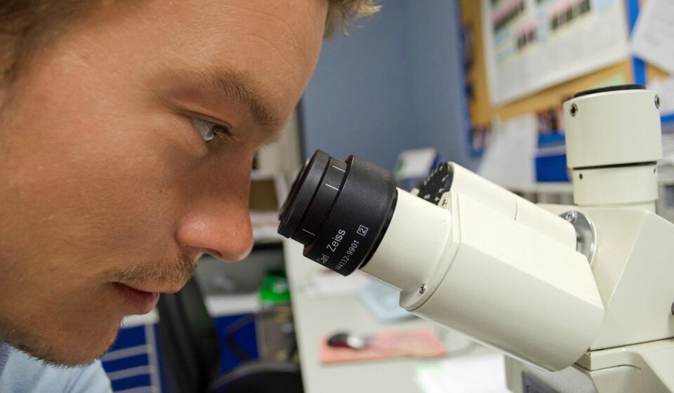 people, scientist, microscope, white, chemistry, microscopy, expensive, stereo, tool, biotechnology, equipment, scientific, object, research, biology, science, professional, laboratory, scientist, scientist, scientist, scientist, scientist, microscope, research, science