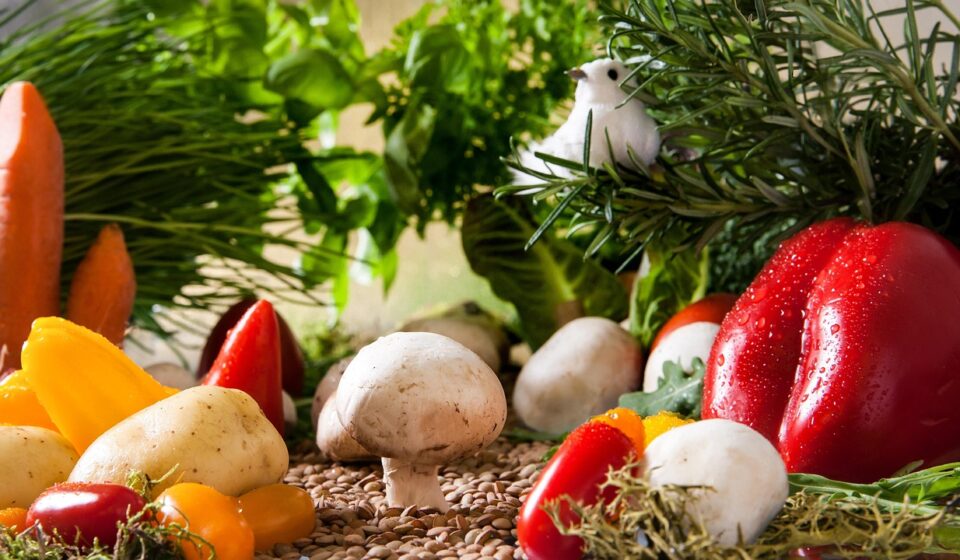 vegetables landscape, garden, vegetables, tomatoes, mushrooms, paprika, carrots, nature, onions, herbs, basil, parsely, food, meal, harvest, bio