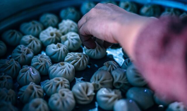 dumplings, chinese, food, appetizer, asian, cooked, eat, fresh, homemade, lunch, meal, steamed, stuffed, taste, tasty, traditional, blue food, blue cooking, blue eating, dumplings, dumplings, dumplings, dumplings, dumplings, chinese, chinese, chinese