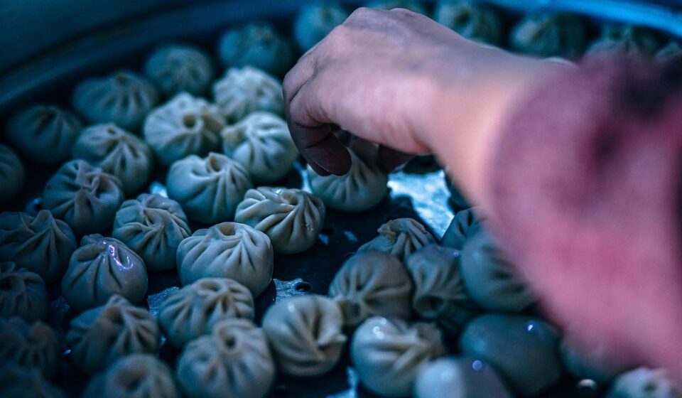 dumplings, chinese, food, appetizer, asian, cooked, eat, fresh, homemade, lunch, meal, steamed, stuffed, taste, tasty, traditional, blue food, blue cooking, blue eating, dumplings, dumplings, dumplings, dumplings, dumplings, chinese, chinese, chinese