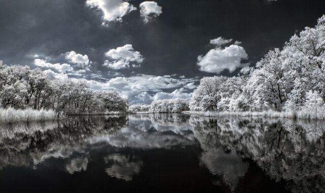 ir, infrared, landscape, tree, white, bright, swamp, nature, novomoskovsk, water, forest, reflection, ukraine, infrared, infrared, infrared, infrared, infrared, ukraine