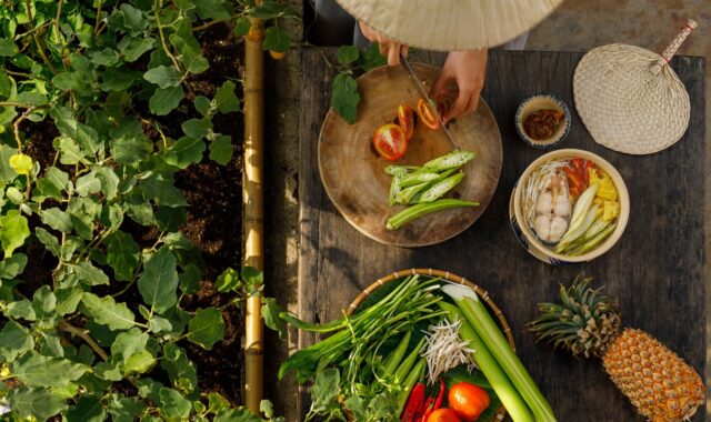 woman, cooking, vietnamese cuisine, vietnamese woman, food, vietnamese food, flat lay, cooking, cooking, cooking, cooking, cooking, food, food, food, food, vietnamese food