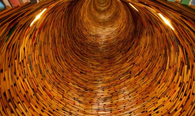 books, tunnel, fantasy, library, knowledge, school, university, bookshelves, education, swirl, circle, perspective, endless, illusion, optical illusion, books, tunnel, library, library, library, library, library, knowledge, knowledge, school, school, university, university, education, education, education, illusion