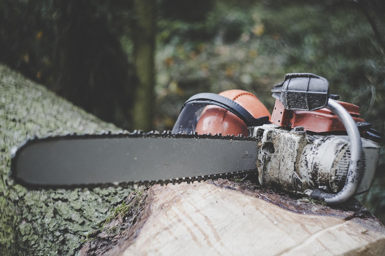 chainsaw, forestry, tree, felling, wood, forest, nature, tribe, timber, section, firewood, landscape, bark, deforestation, bio, plant, tree trunk, environment, afforestation, safety helmet, helmet, cut protection, chainsaw, chainsaw, deforestation, deforestation, deforestation, deforestation, deforestation