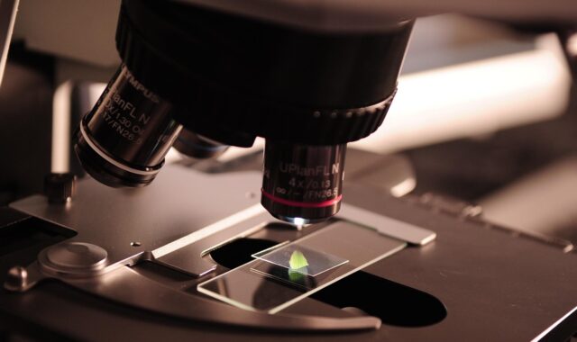 microscope, research, lab, laboratory, science, medicine, scientist, chemistry, experiment, biotechnology, microbiology, analyzing, brown science, brown research, brown medicine, brown lab, brown laboratory, brown chemistry, microscope, microscope, research, research, research, lab, lab, lab, lab, lab, laboratory, science, science, science, scientist, scientist, scientist, chemistry
