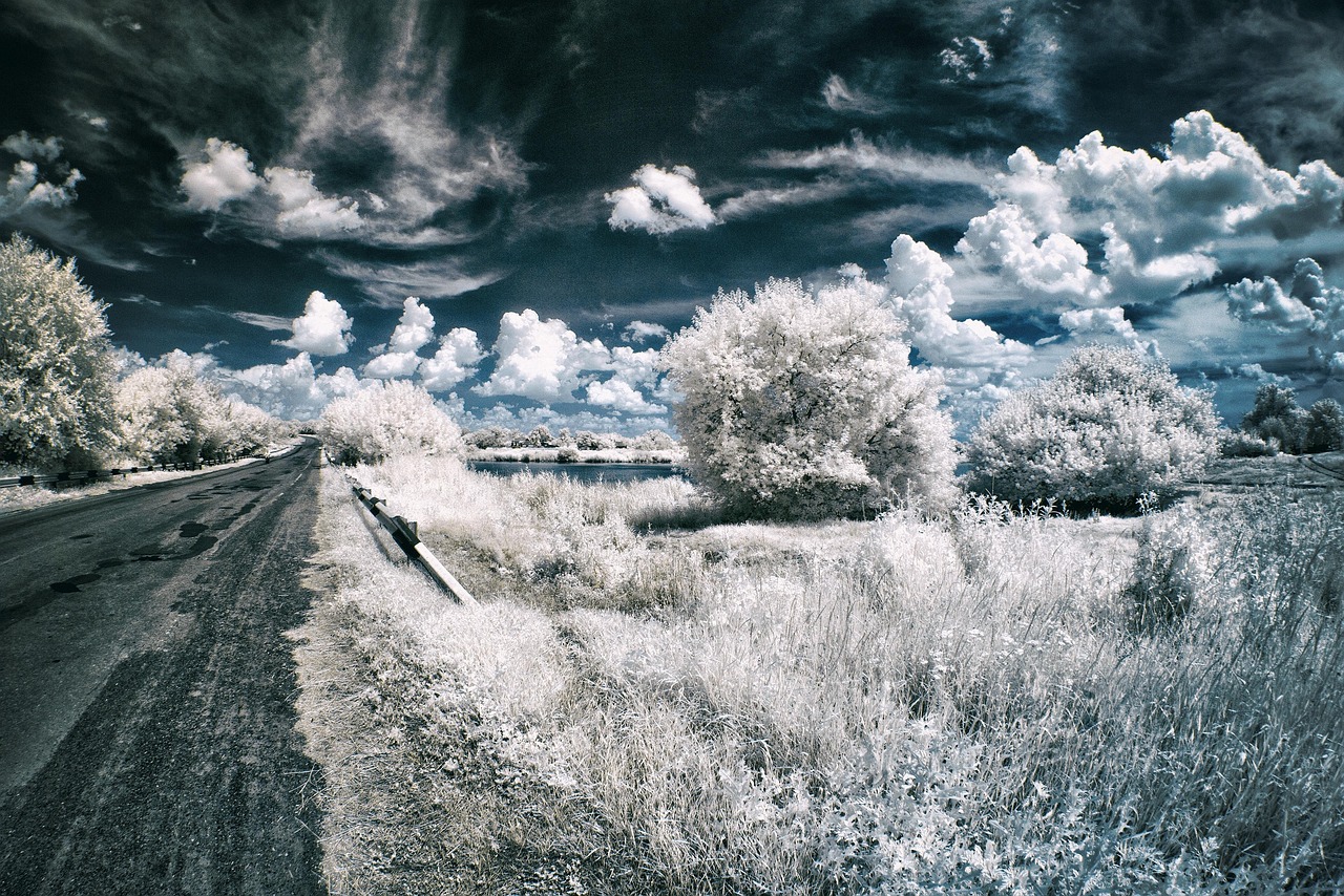 ir, infrared, landscape, tree, white, bright, swamp, nature, novomoskovsk, water, forest, reflection, ukraine, fisheye, infrared, infrared, infrared, infrared, infrared