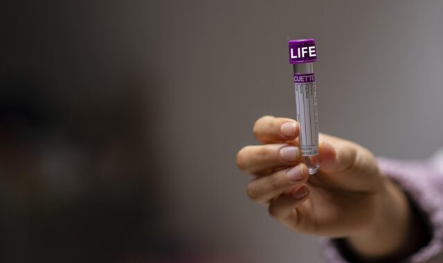 test tube, tube, laboratory, lab, science, medical, labor, chemistry, test tube, test tube, test tube, test tube, test tube, laboratory, lab