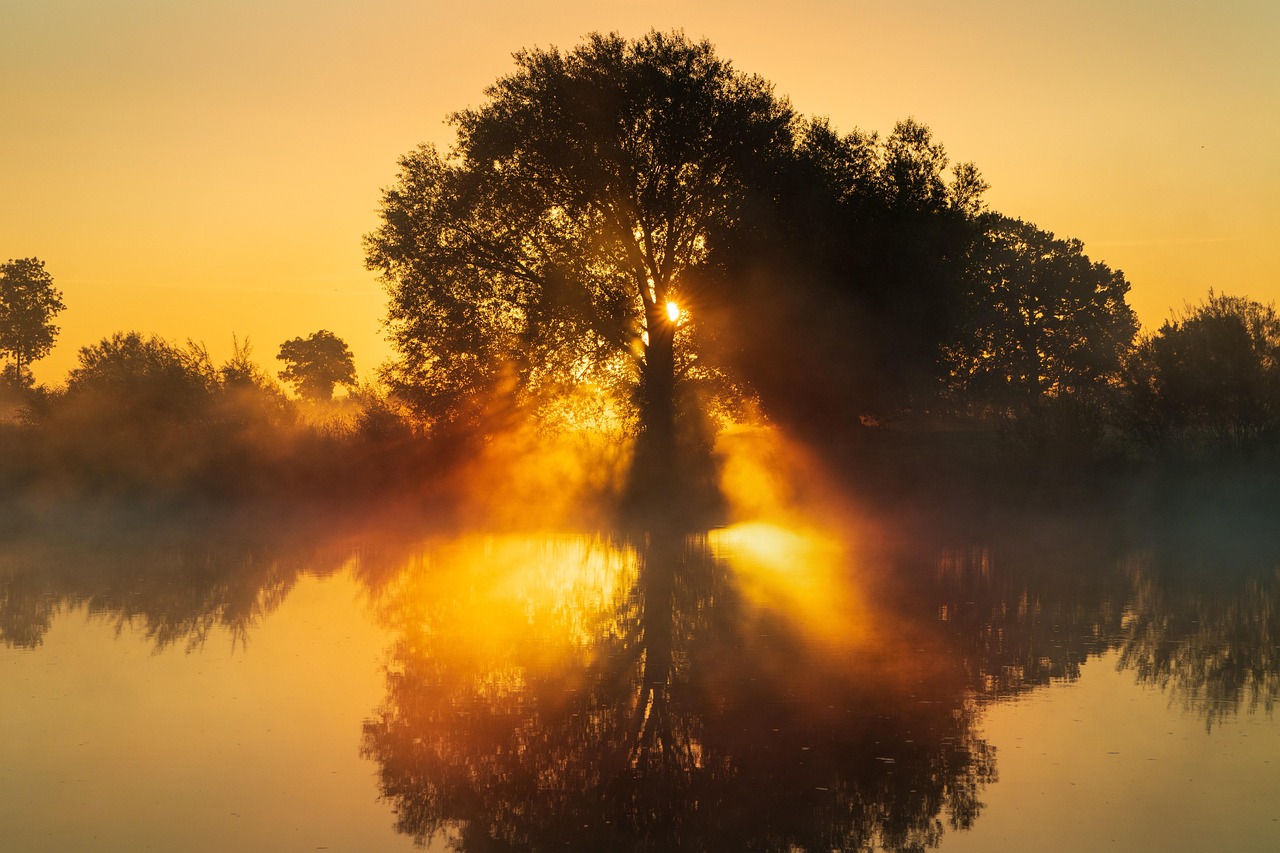 sunrise, sun, nature, flow, weser, trees, fog, fall, landscape, mood, backlighting, sunrise, sunrise, sunrise, sunrise, sunrise, sun, nature, nature