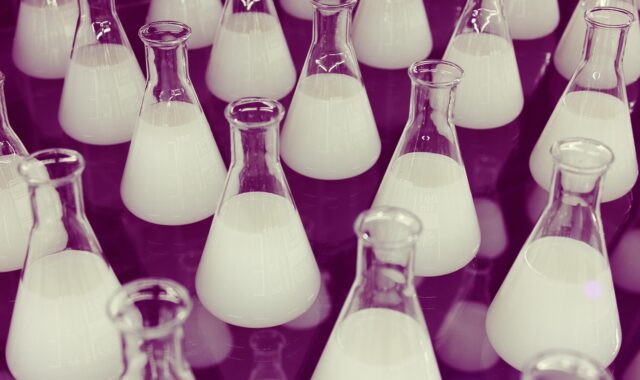 flasks, erlenmeyer, chemistry, laboratory, science, research, lab, liquid, glassware, medical, test, equipment, biology, white, biotechnology, container, pharmacy, solution, chemistry, chemistry, chemistry, chemistry, chemistry, laboratory, laboratory, laboratory, lab, lab, lab, lab, biology, biotechnology