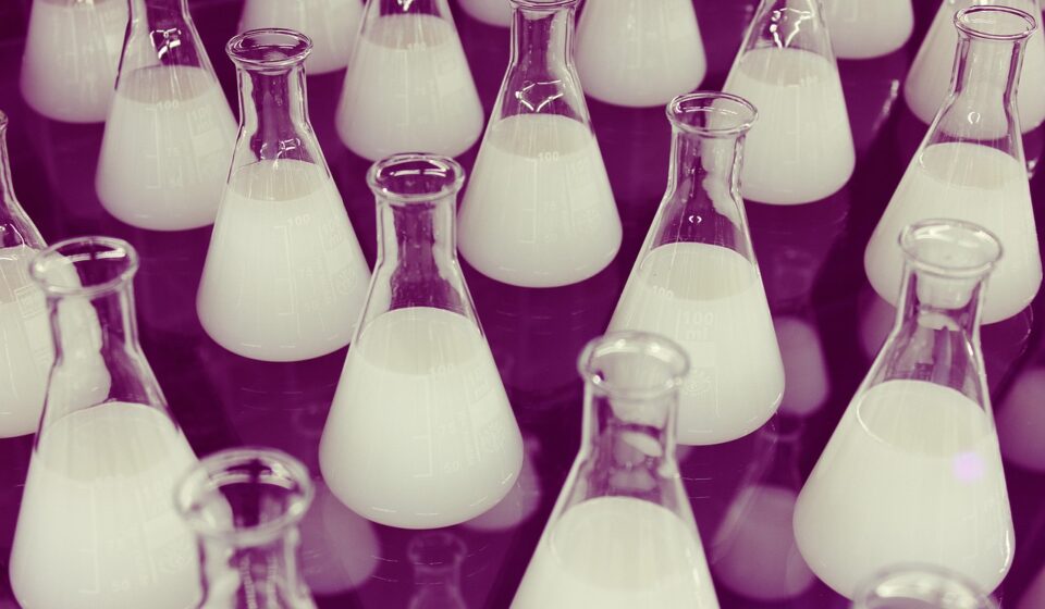 flasks, erlenmeyer, chemistry, laboratory, science, research, lab, liquid, glassware, medical, test, equipment, biology, white, biotechnology, container, pharmacy, solution, chemistry, chemistry, chemistry, chemistry, chemistry, laboratory, laboratory, laboratory, lab, lab, lab, lab, biology, biotechnology