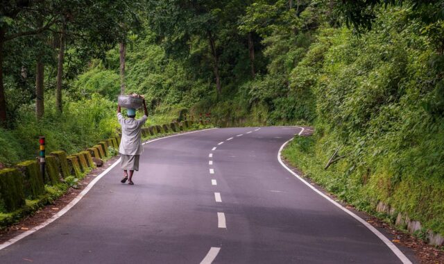 road, forest, countryside, rural, landscape, nature, village, road, road, road, road, road, nature, village, village, village