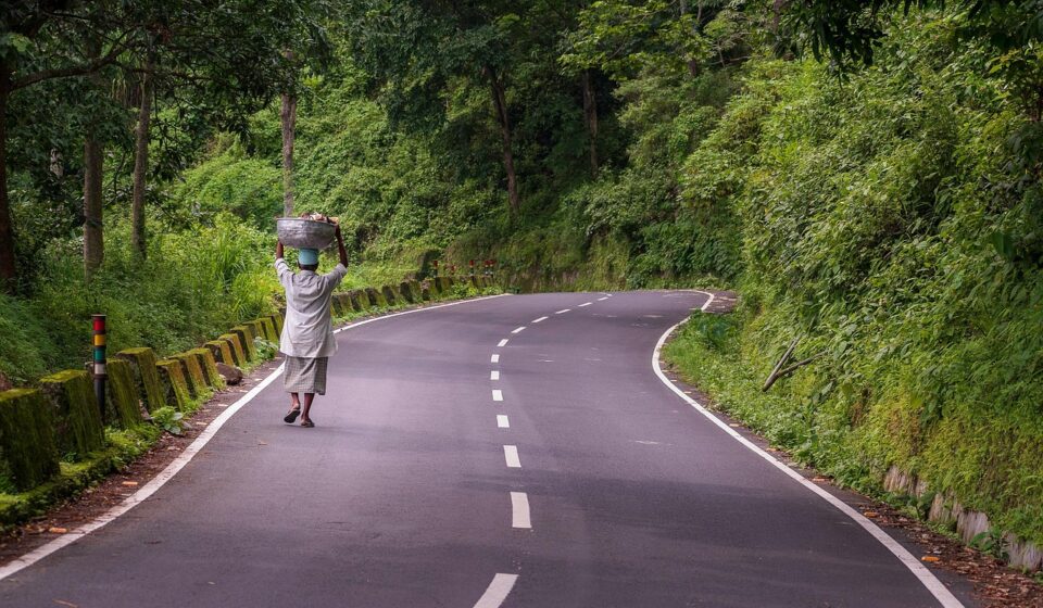 road, forest, countryside, rural, landscape, nature, village, road, road, road, road, road, nature, village, village, village
