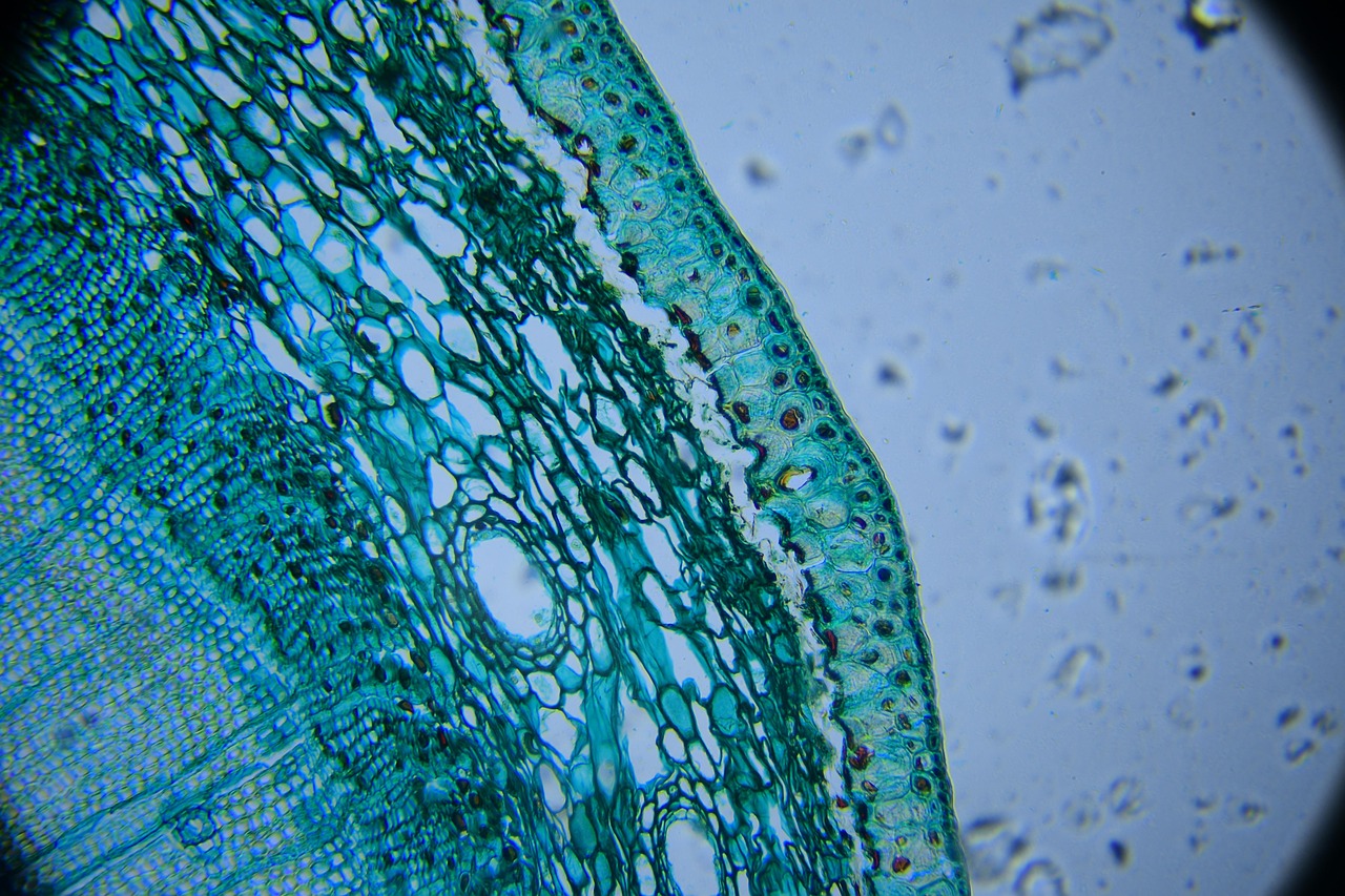 the drug, biology, microscope, microscope, microscope, microscope, microscope, microscope