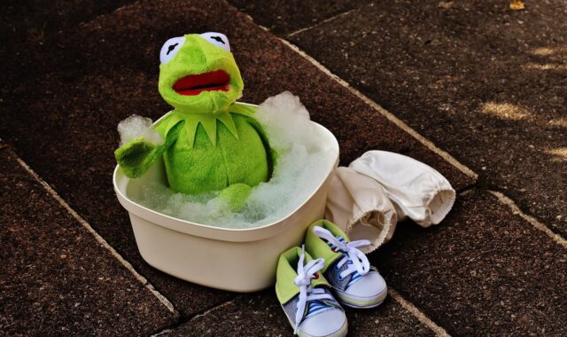 kermit, bathtub, foam bath, fun, frog, cute, to bathe, foam, frothy, clean, bath, relax, bath foam, water, nature, bath water, wet, to wash, stuffed animal, toy