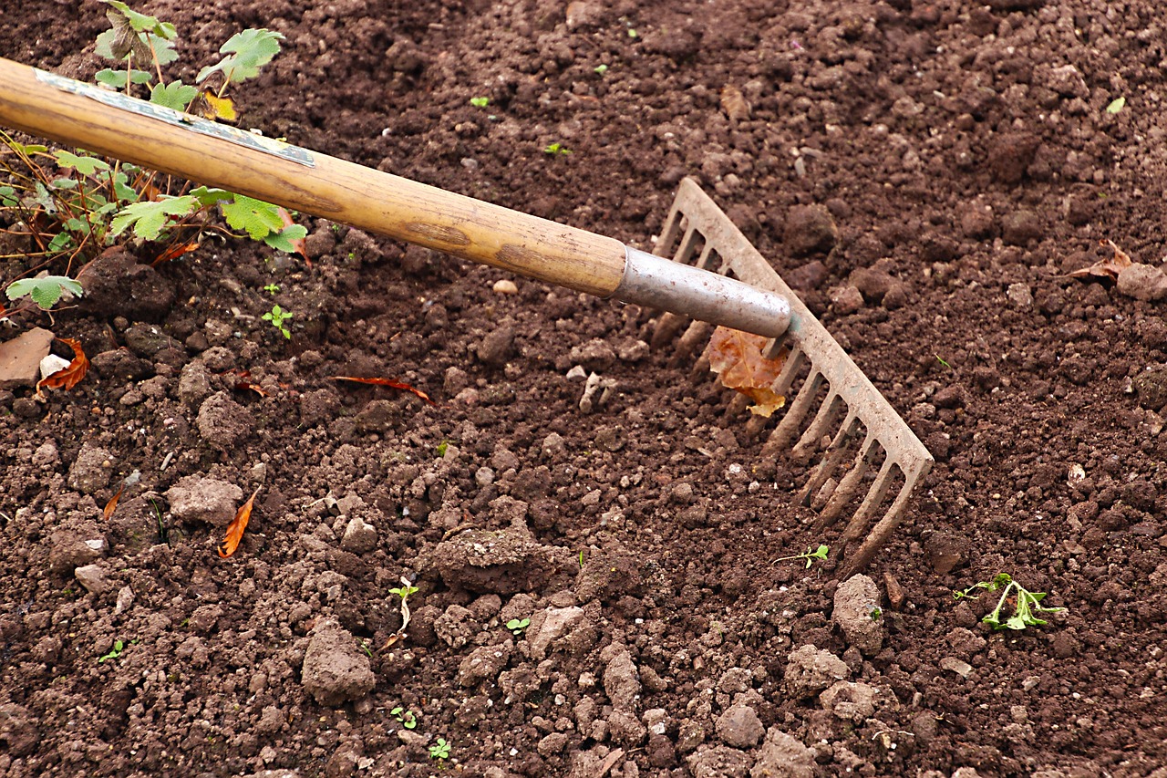 rake, gardening, garden, agriculture, work, tool, gardener, equipment, outdoor, raking, rural, soil, cultivation, earth, surface, ground, texture, land, planting, nobody, brown, cultivated, dirt, farmland, weeding, brown earth, brown work, brown texture, nature, brown garden, brown gardening, brown tools