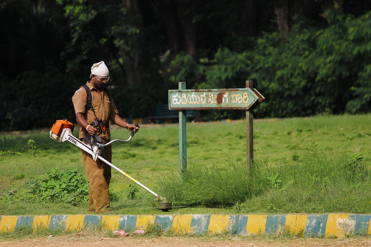 indian worker, garden maintenance, grass cutter, indian worker, indian worker, garden maintenance, garden maintenance, garden maintenance, grass cutter, grass cutter, grass cutter, grass cutter, grass cutter
