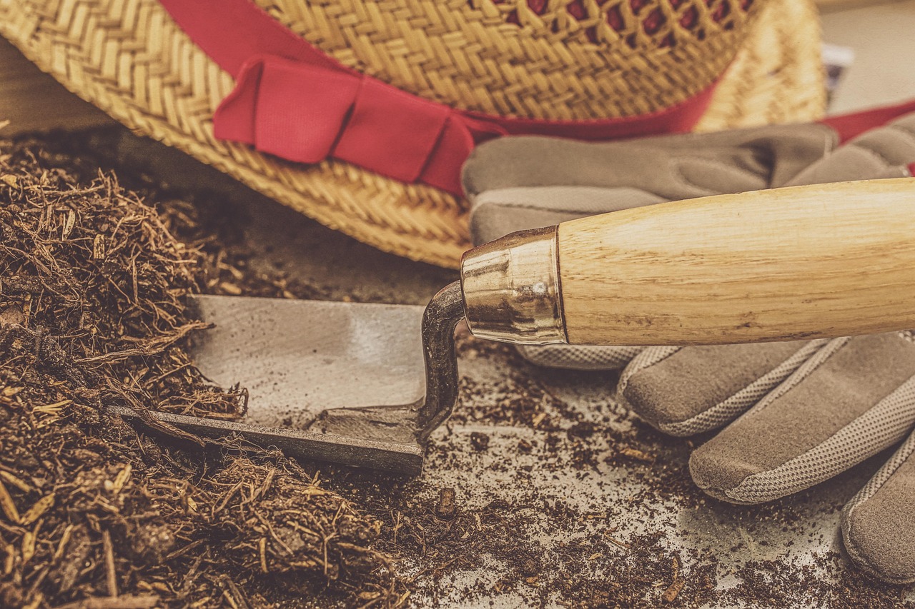 plants, earth, gardening, potting soil, spring, potted plant, maintenance, growth, summer, grow, horticulture, nature, botanical, shovel, gloves, cap, garden feeling, potting soil, potting soil, potting soil, potting soil, potting soil, maintenance, shovel, shovel