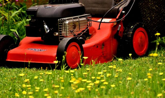 lawn mower, mow, cut the lawn, green, meadow, gardening, grassy area, to cut, cut grass, nature, grass, garden, blades of grass, lawn mower, lawn mower, lawn mower, lawn mower, lawn mower