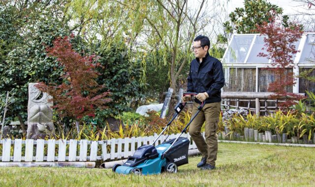 cutter, nature, grass, lawn, garden