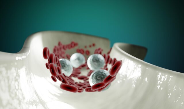 blood cells, anatomy, healthcare, circulatory system, circulation, artery, cardiovascular, science, rbc, wbc